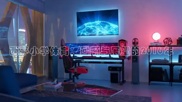 西亭小学体育：回顾与展望的2016年